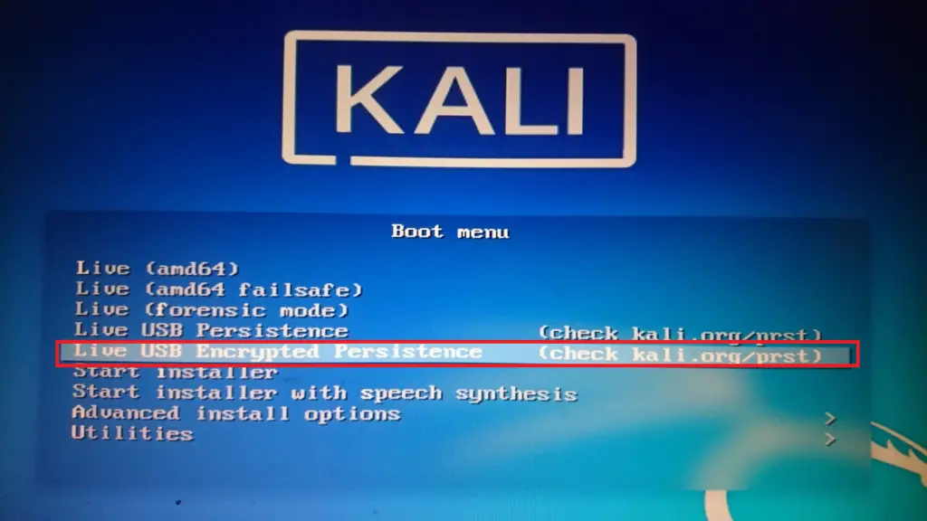 Kali Linux 2021 Live USB with Persistence and Optional Encryption
